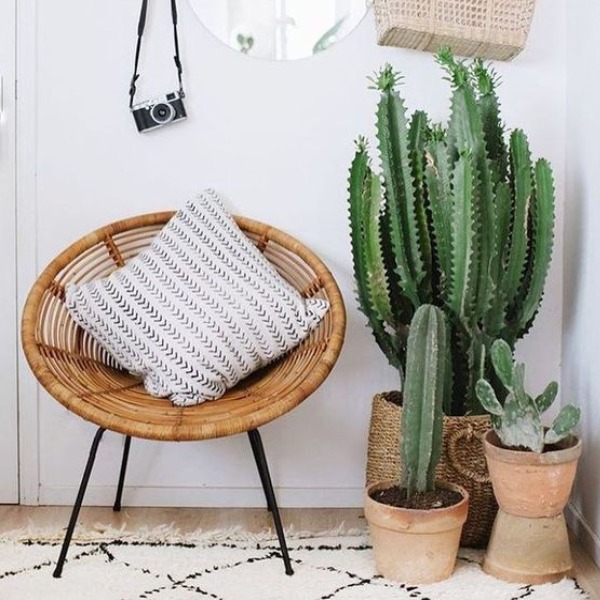 Internal part - cactus