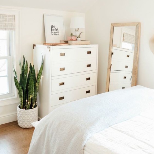 Interior plants -Madre -in -Law's Language